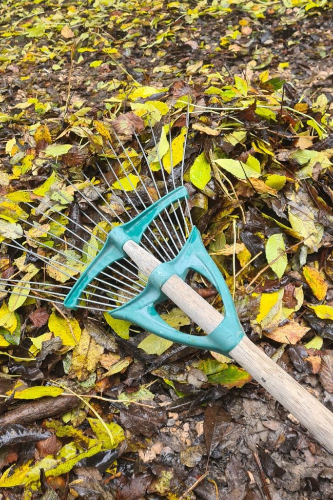 feuilles d'automne ramassage